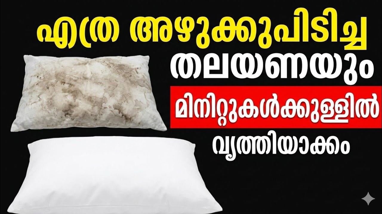 എത്ര അഴുക്കുപിടിച്ച പില്ലോയും മിനിറ്റുകൾക്കുള്ളിൽ പുത്തൻപോലെയാക്കാം |Pillow cleaning tips |Tips
