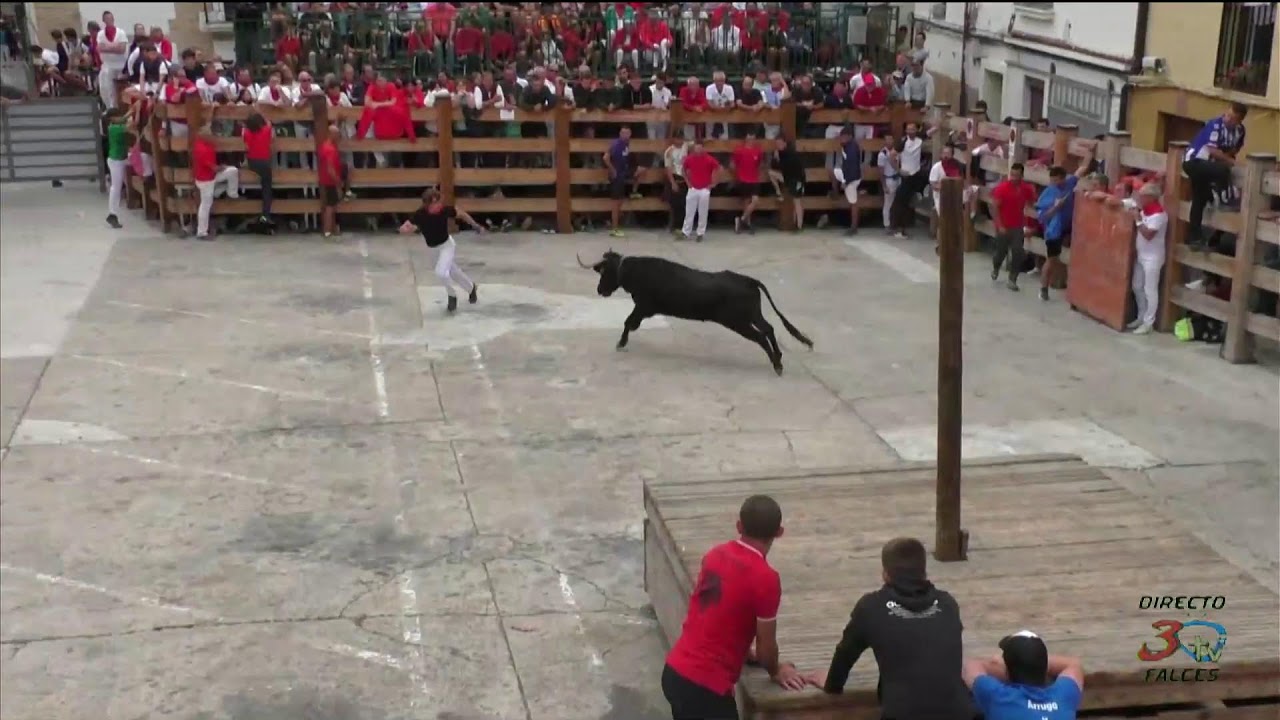 Falces, Fiestas 2025, Prueba de Ganado, Viernes 22/08/2025