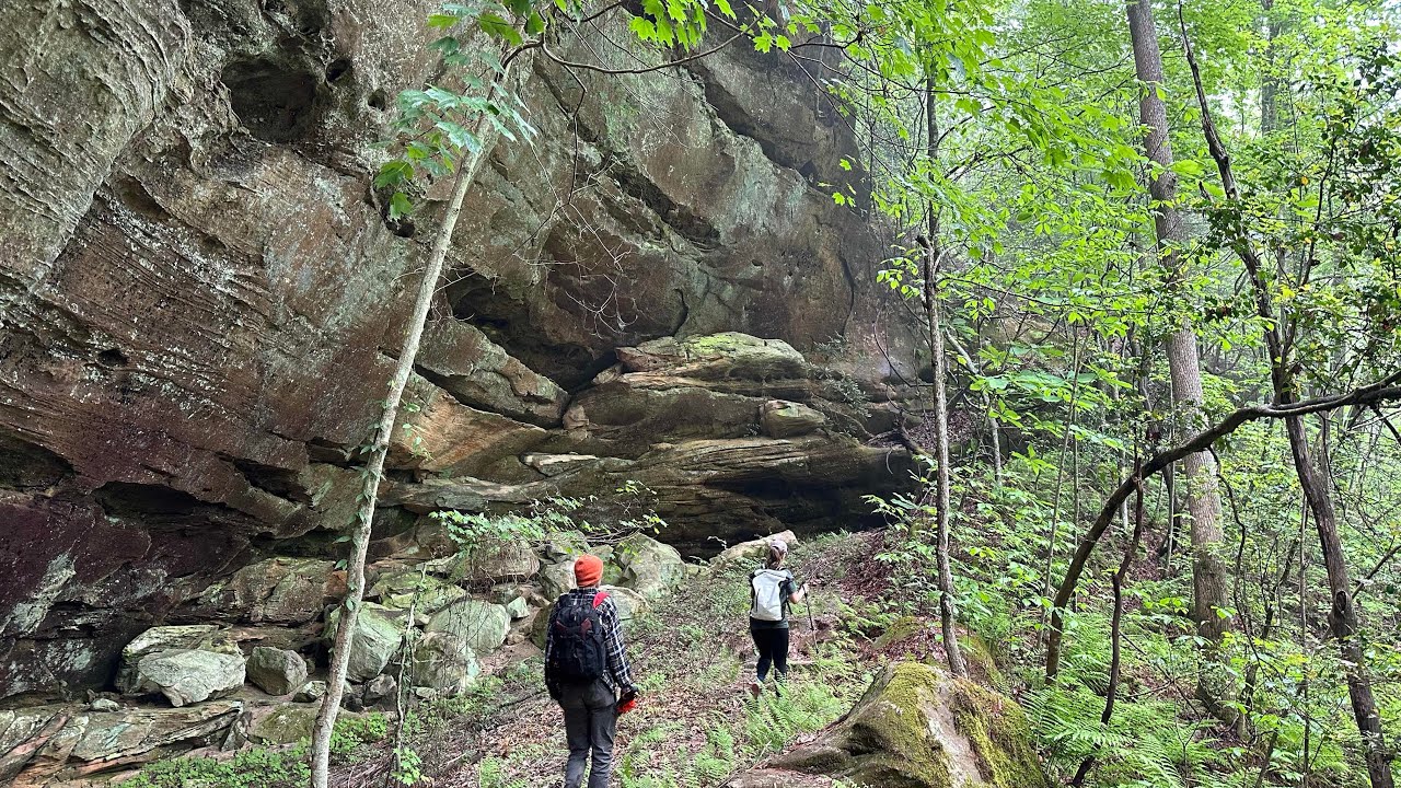 Kentucky Lady Slippers, Wildflowers, Historic Homesites, Odd Carvings, Big South Fork Backcountry