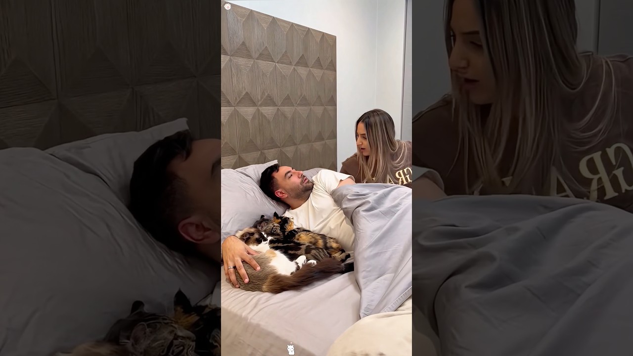 My cat stole my man🤣❤️😽 
