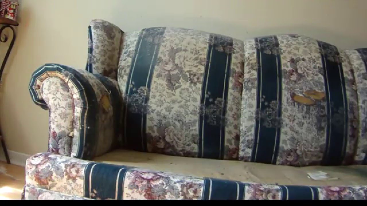 BBB Extermination Services - Senior Citizen VS Thousands Of Bed Bugs.