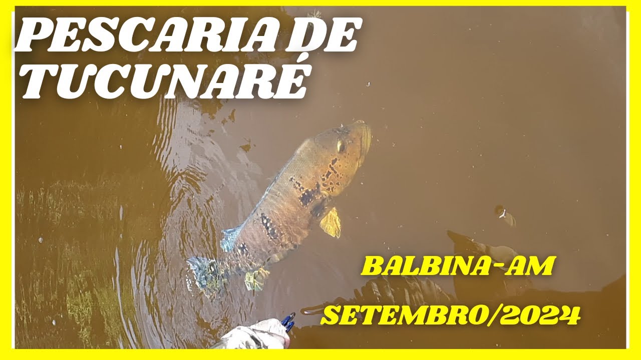 #51 -🐟 Pescaria na represa de Balbina /AM 🐟 (parte 1)