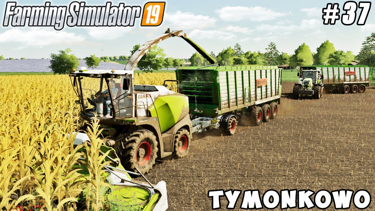 Harvesting corn silage | Tymonkowo Farm | Farming simulator 19 | Timelapse #37
