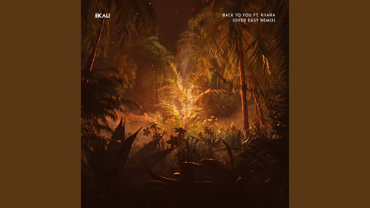 Back To You (feat. Kiiara) (Over Easy Remix)