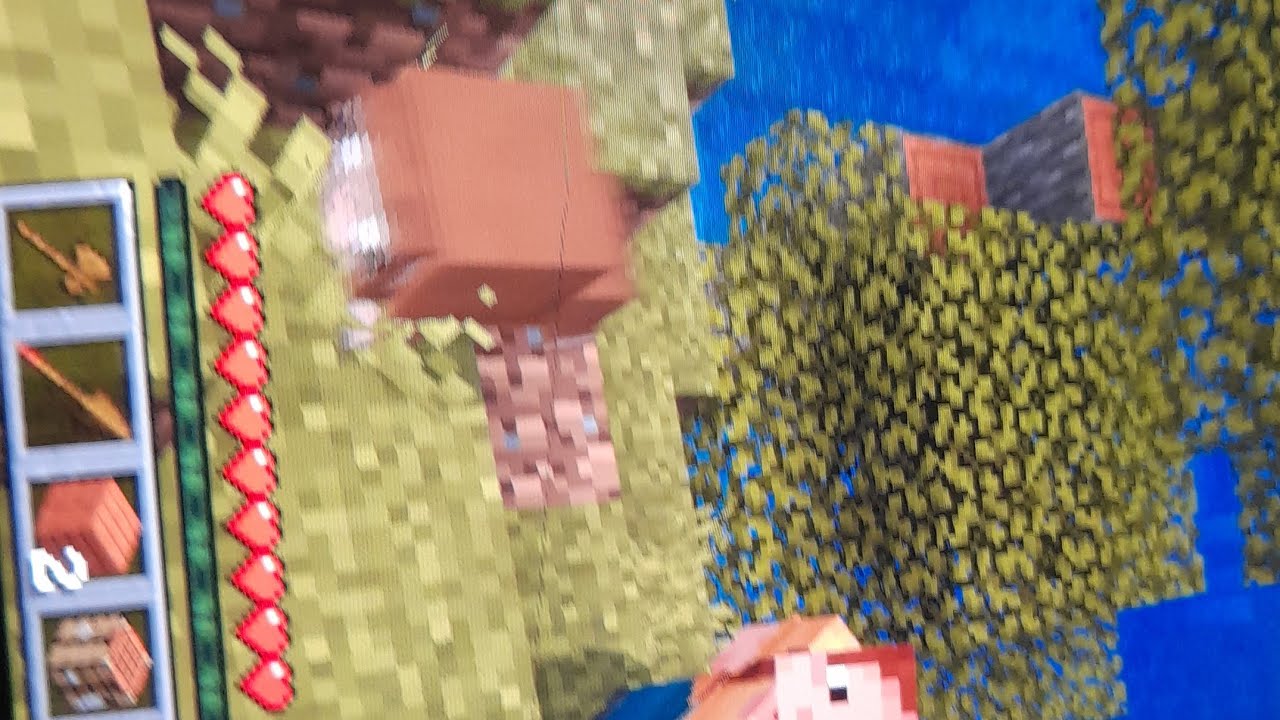 Eerste keer minecraft 