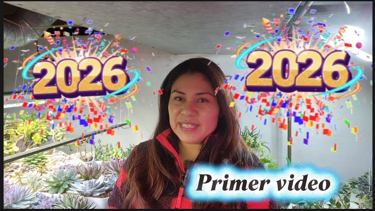 Recorrido por mis Suculentas/Así empezamos el 2026 