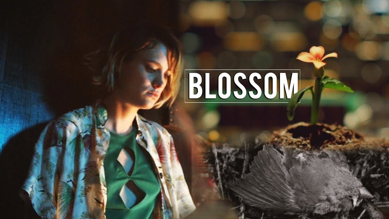 Halt and Catch Fire || Blossom