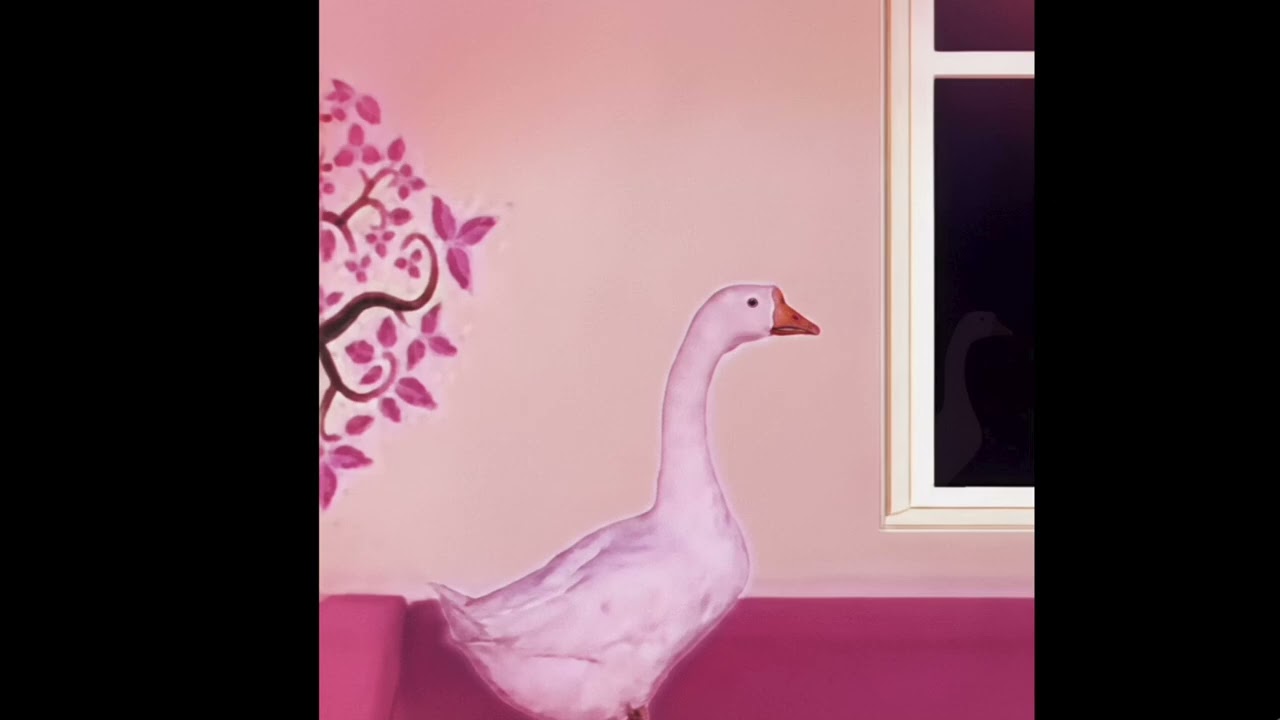 Розовый гусь смотрит в окно хочет понять почему так темно 