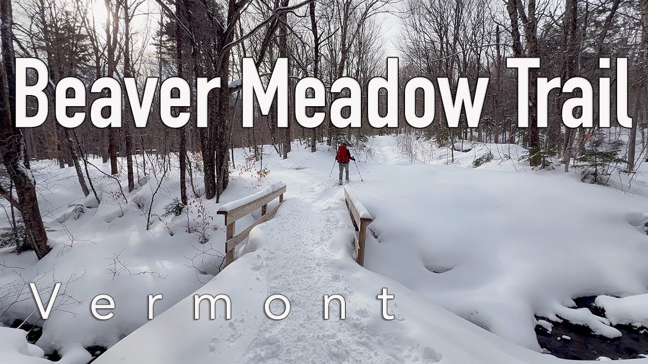 Snowshoeing Vermont's Beaver Meadow Trail | Part 1