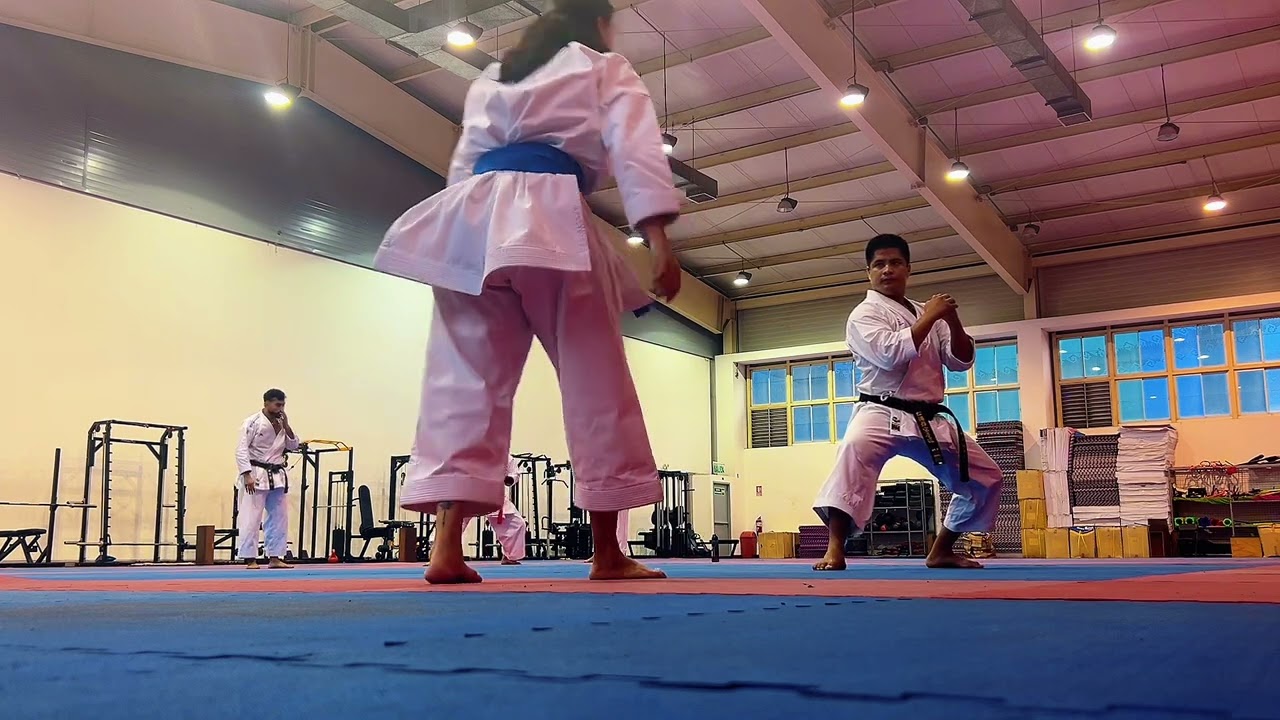 💥Entrenamiento Kihon Kata 🥋 