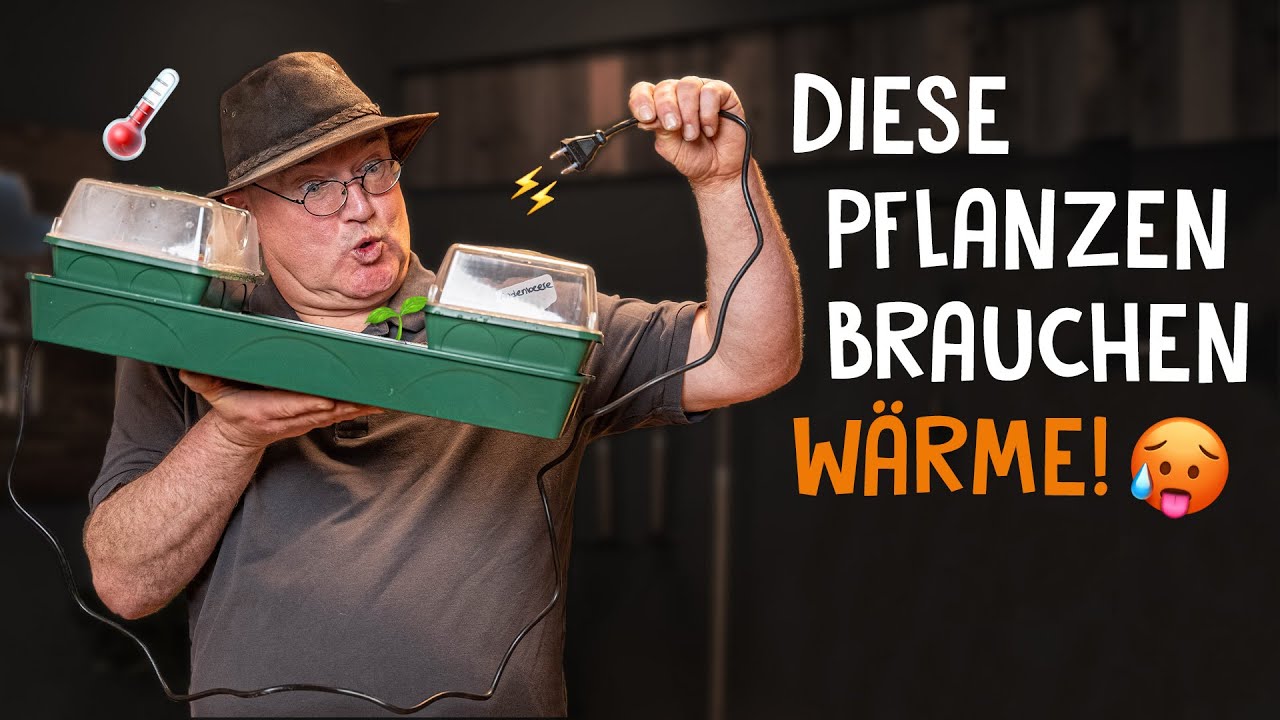 Dieses Gemüse säst du jetzt aus! 🌱🫑 - Wärmeliebende Aussaat im Februar