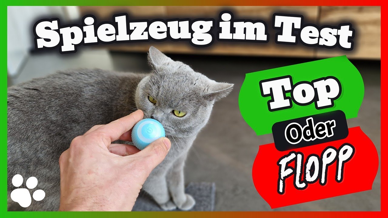KATZENSPIELZEUG im TEST - INTERAKTIVER BALL für unter 10 EURO 😻