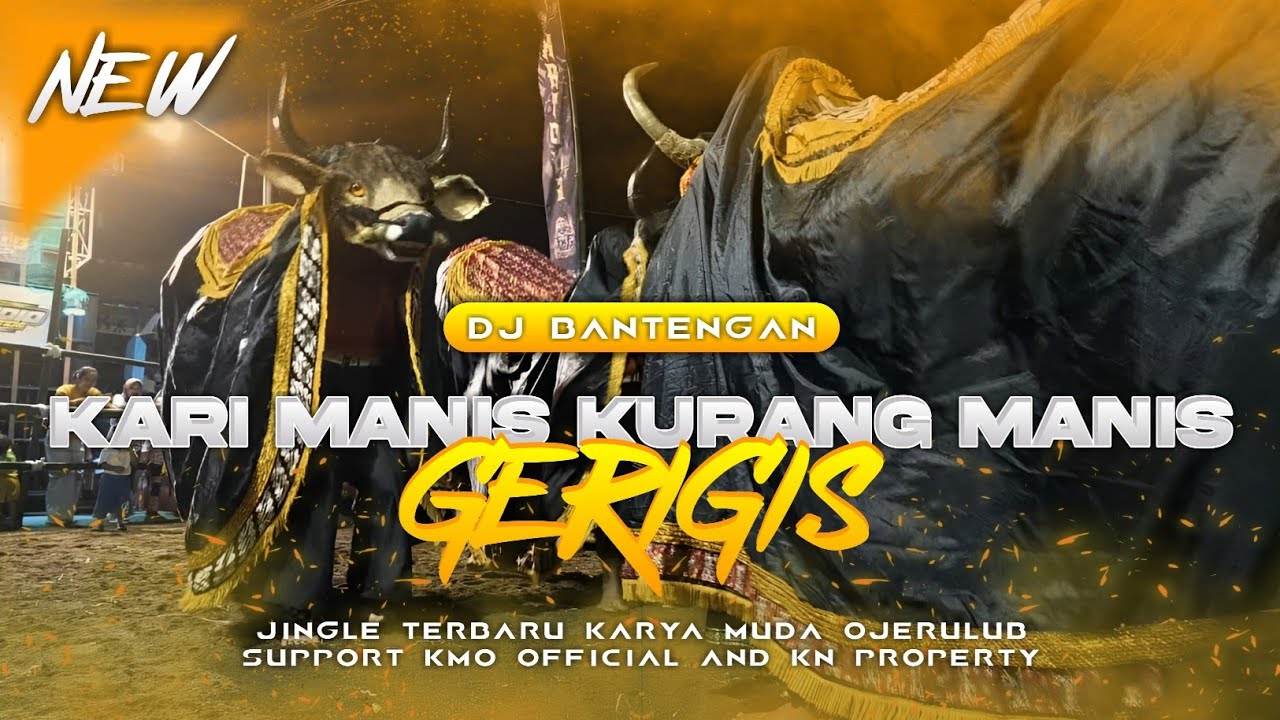 DJ BANTENGAN‼️ GERIGIS (kari manis kurang manis tambahi gulo) viral tiktok bahan Velocity 🔥