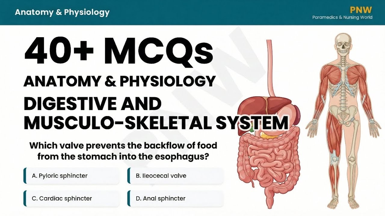 Top 40 Mcqs | JKSSB Nursing Exam mcqs 2026 | Digestive & Musculoskeletal System | Staff Nurse 2026