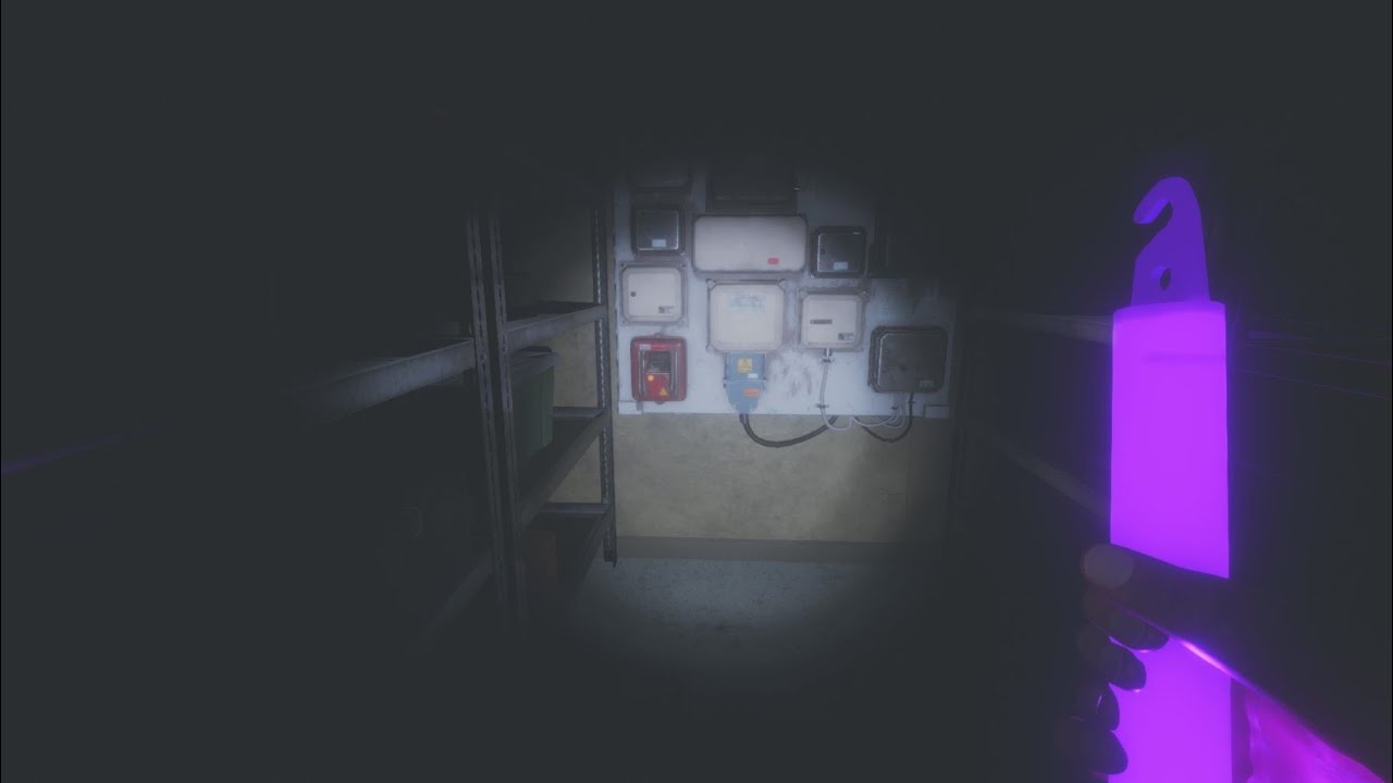 Phasmophobia Beta Patch: Professional Asylum Solo (Episode 30)