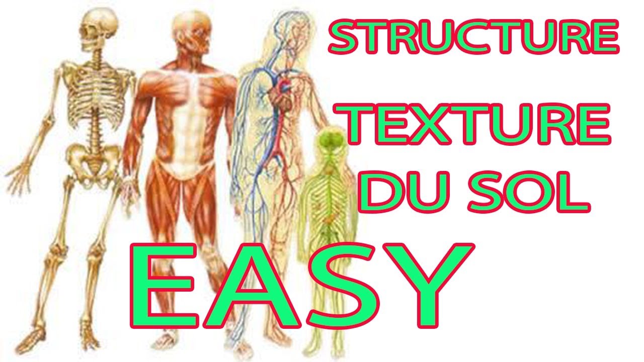 QU'EST CE QUE LA STRUCTURE ET LA TEXTURE D'UN SOL