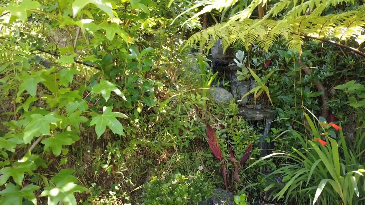Te Puia Falls