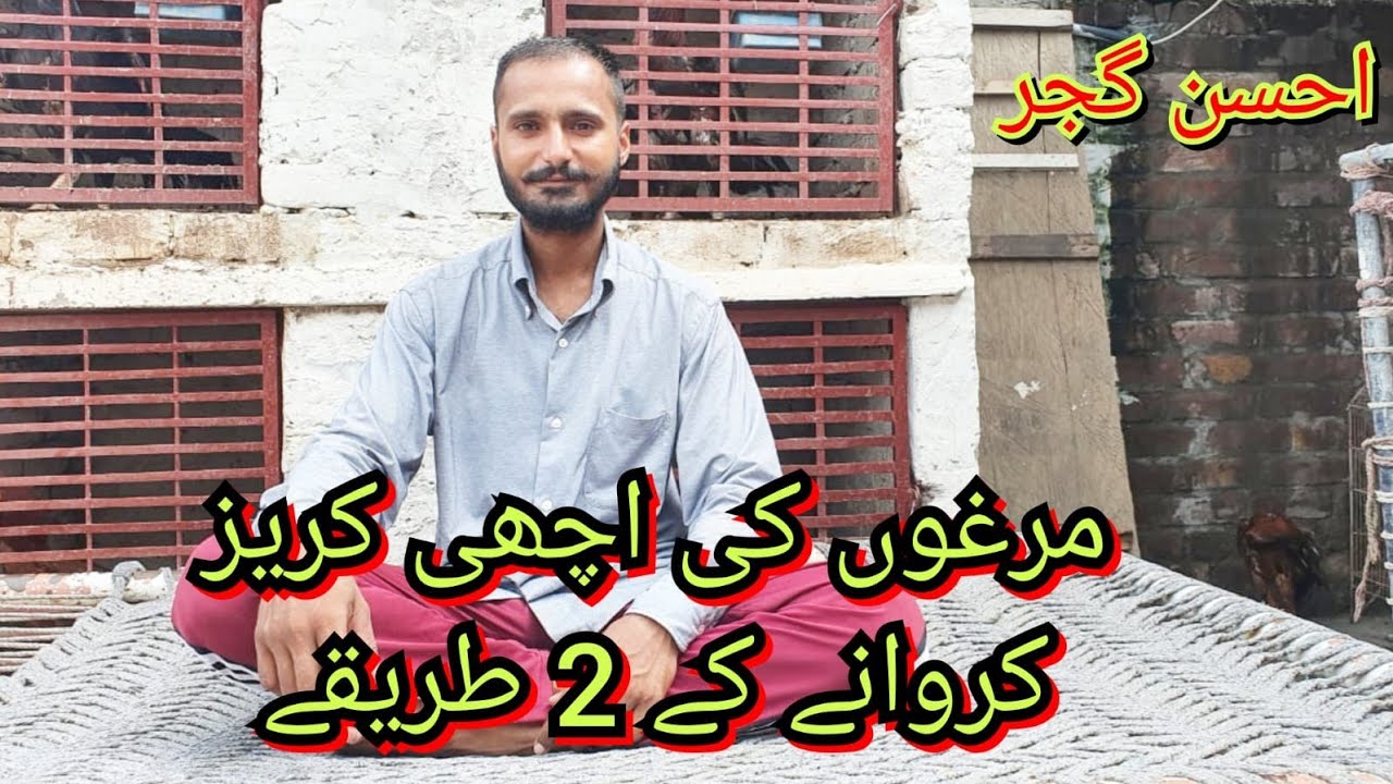 Aseel ki achi korez k 2 asan kam