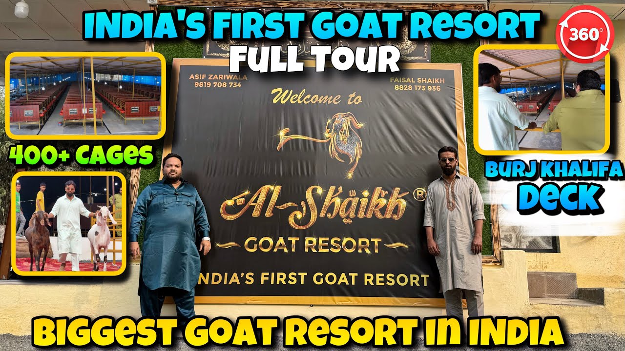 AL SHAIKH GOAT RESORT FULL TOUR| INDIA’s BIGGEST and FIRST EVER GOAT RESORT in MAHAPOLI