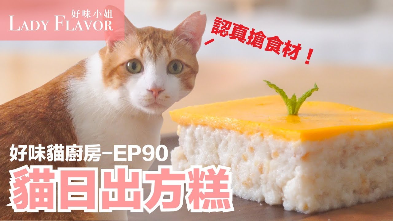貓日出方糕，蛋捲有認真搶食材了！【貓主食食譜】好味貓廚房EP90