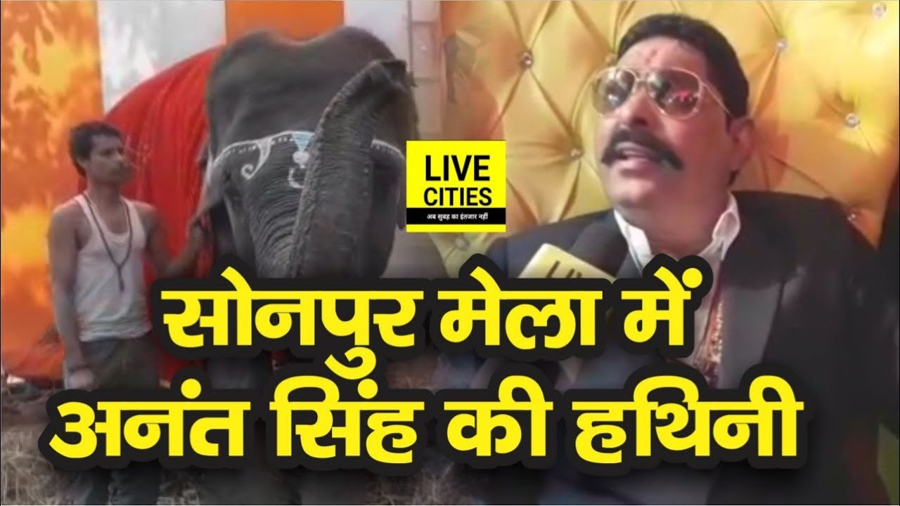 Sonpur Mela में मिलिए Anant Singh की हथिनी से, देखिए – कैसे देती है आशीर्वाद, करती है प्रणाम l