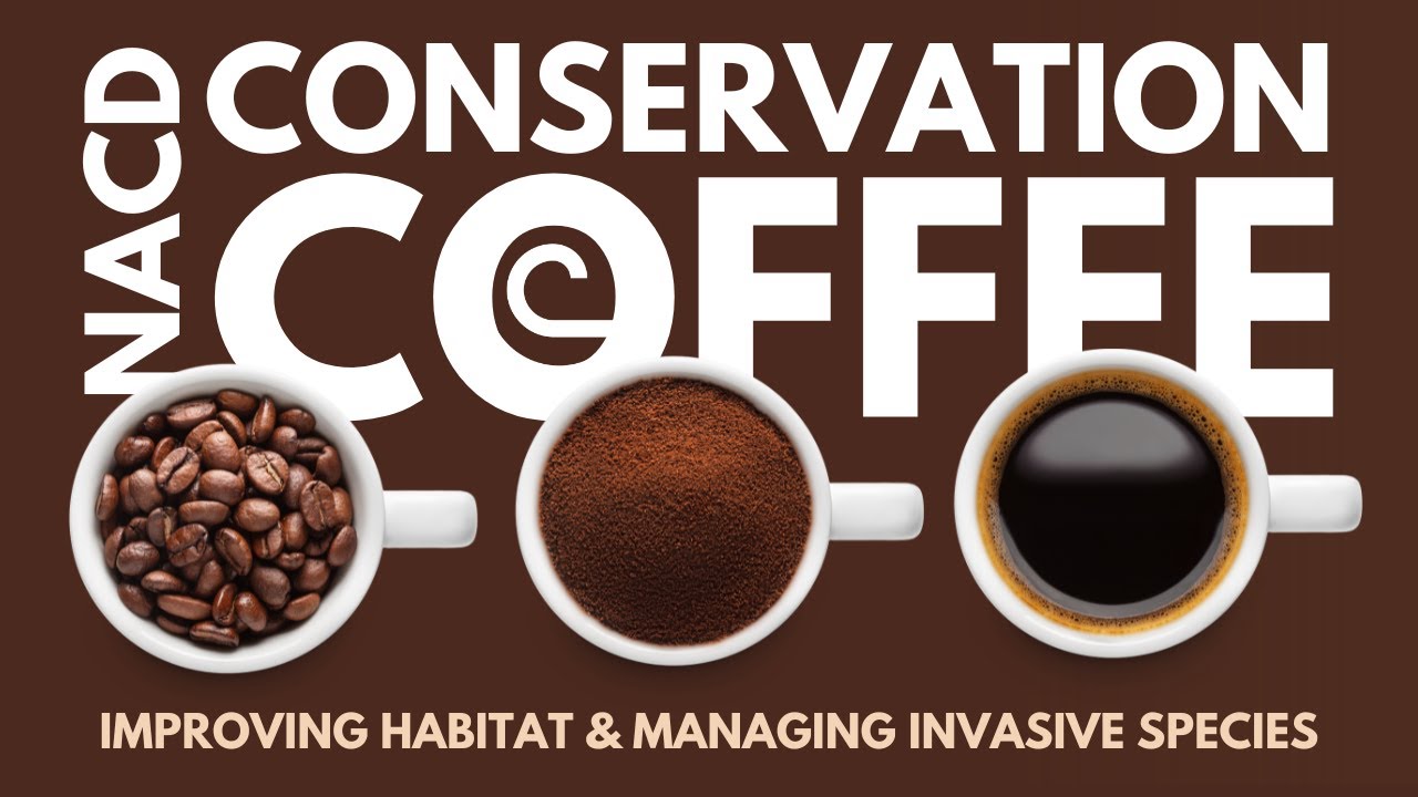 Conservation Coffee - Improving Habitat and Managing Invasive Species