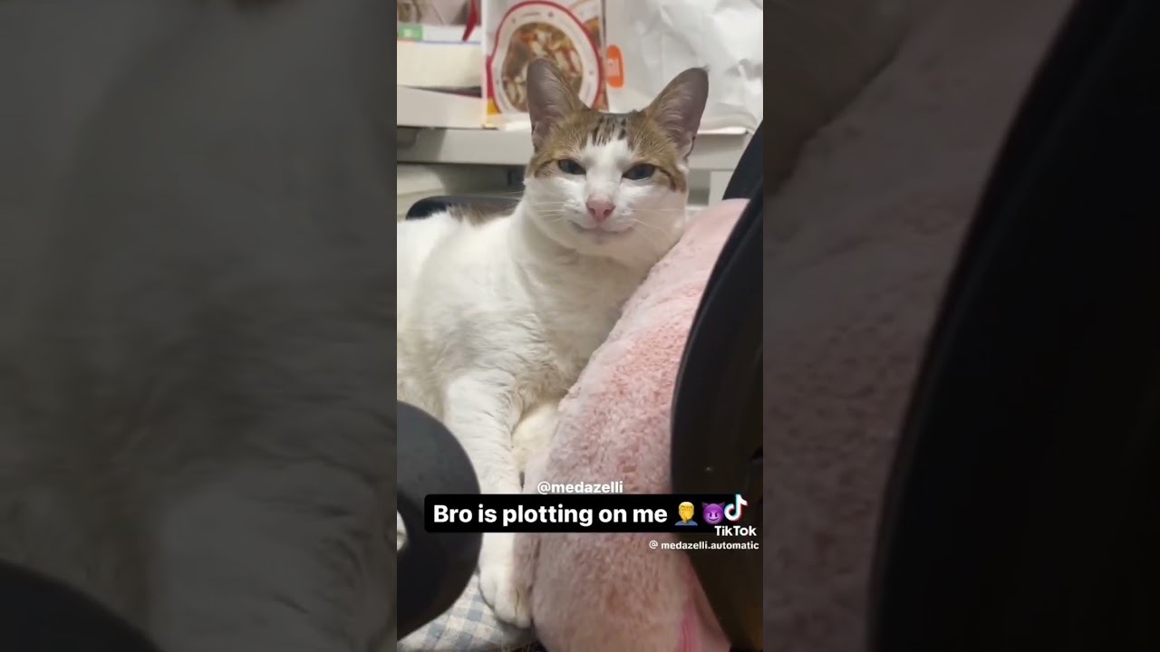 Medazelli tiktok compilation