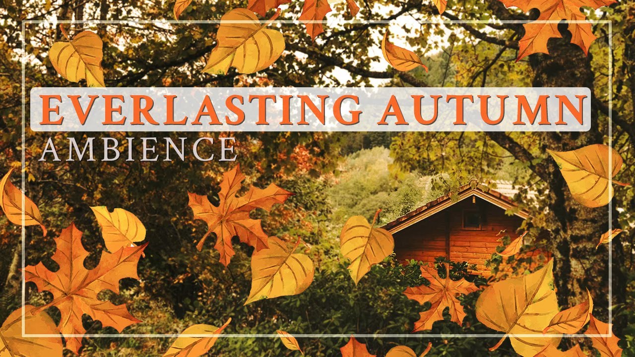 Everlasting Autumn Ambience 🍂 3 hours of Relaxing Sounds: Wind, birds singing, wind chimes