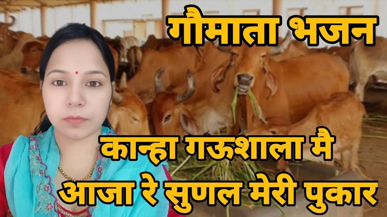 कान्हा गऊशाला मै आजा रे सुणल मेरी पुकार || गऊ माता भजन #aapnivirast @Aapni virast