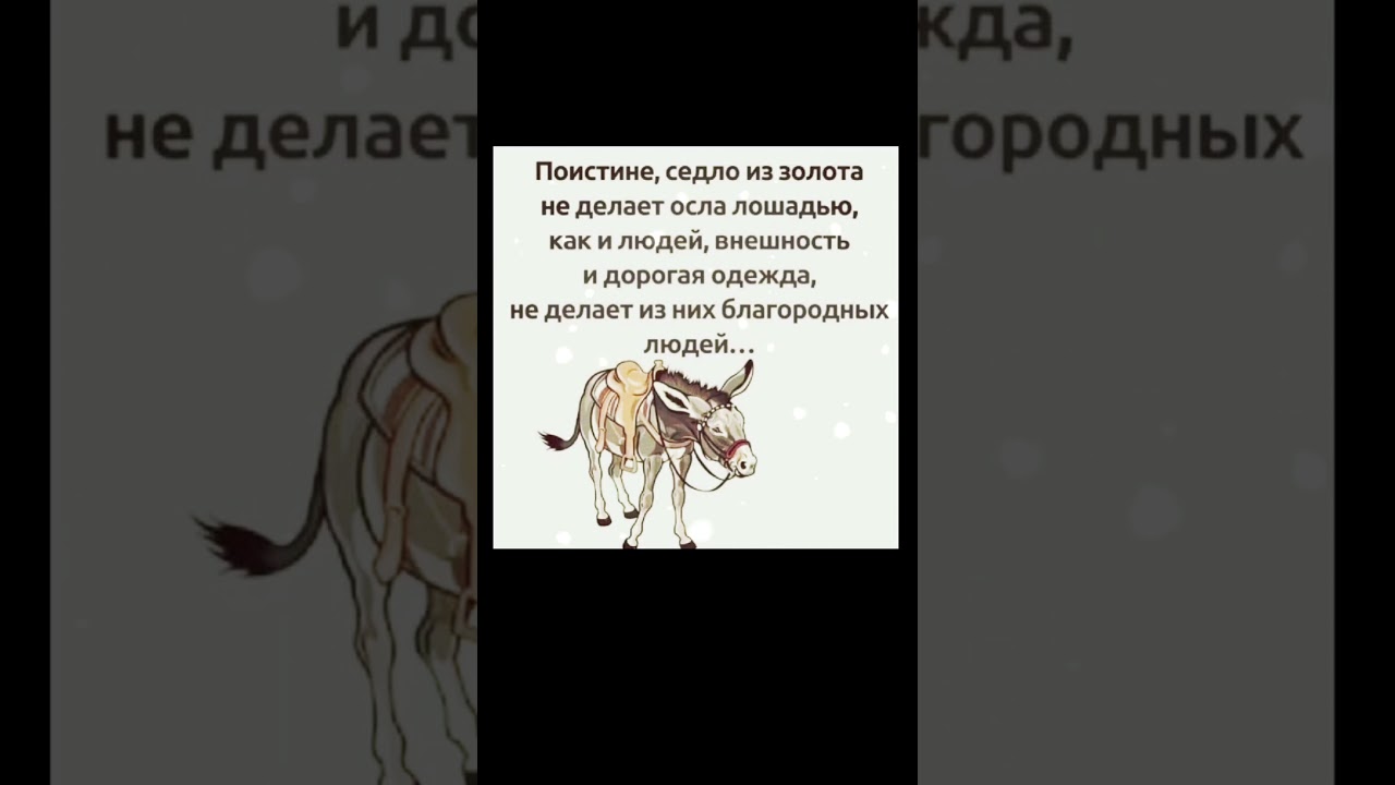 мотивация философия и жизнь #цитатыпрожизнь #цитатыосмысле #motivational #психология #саморазвитие