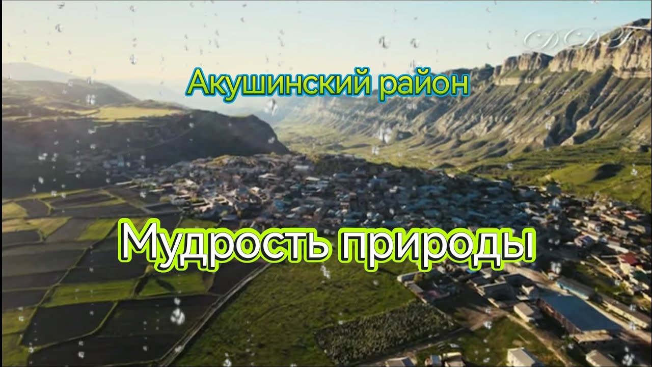 #Дагестан шокирует! Отправились в Акушинский район за приключениями)