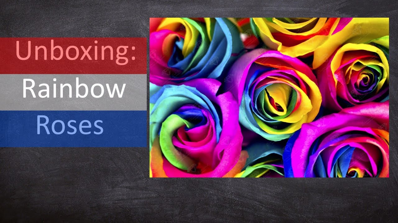 Nederlandse unboxing Rainbow Roses door Sasha and Lenka van Diamond Art Club