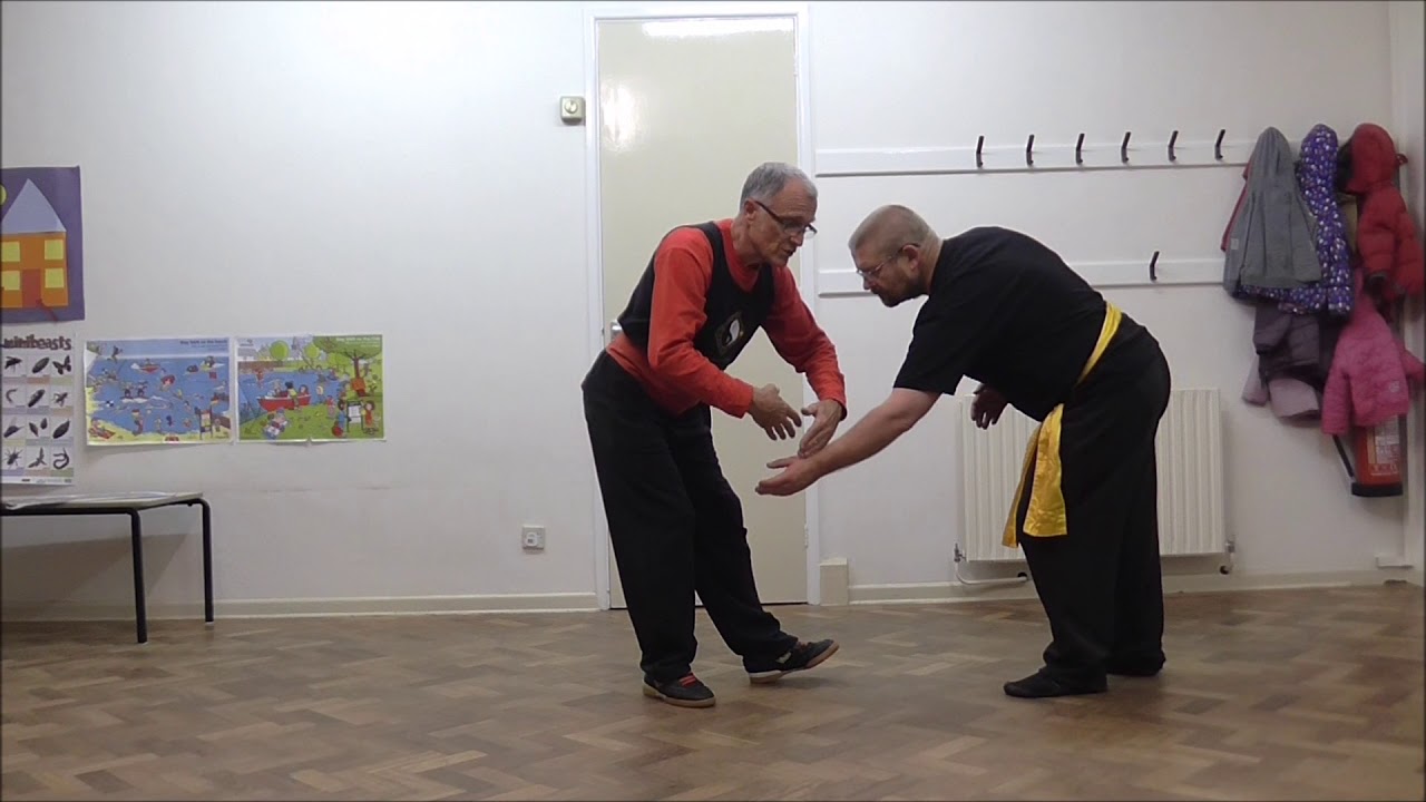 Lesson 14: Brush Knee and Side Step. Lee (Li) Family Style T'ai Chi Ch'uan.