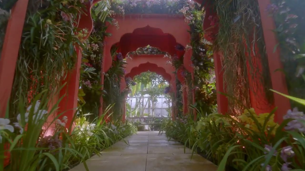 The Orchid Show: India Blooms at the Chicago Botanic Garden