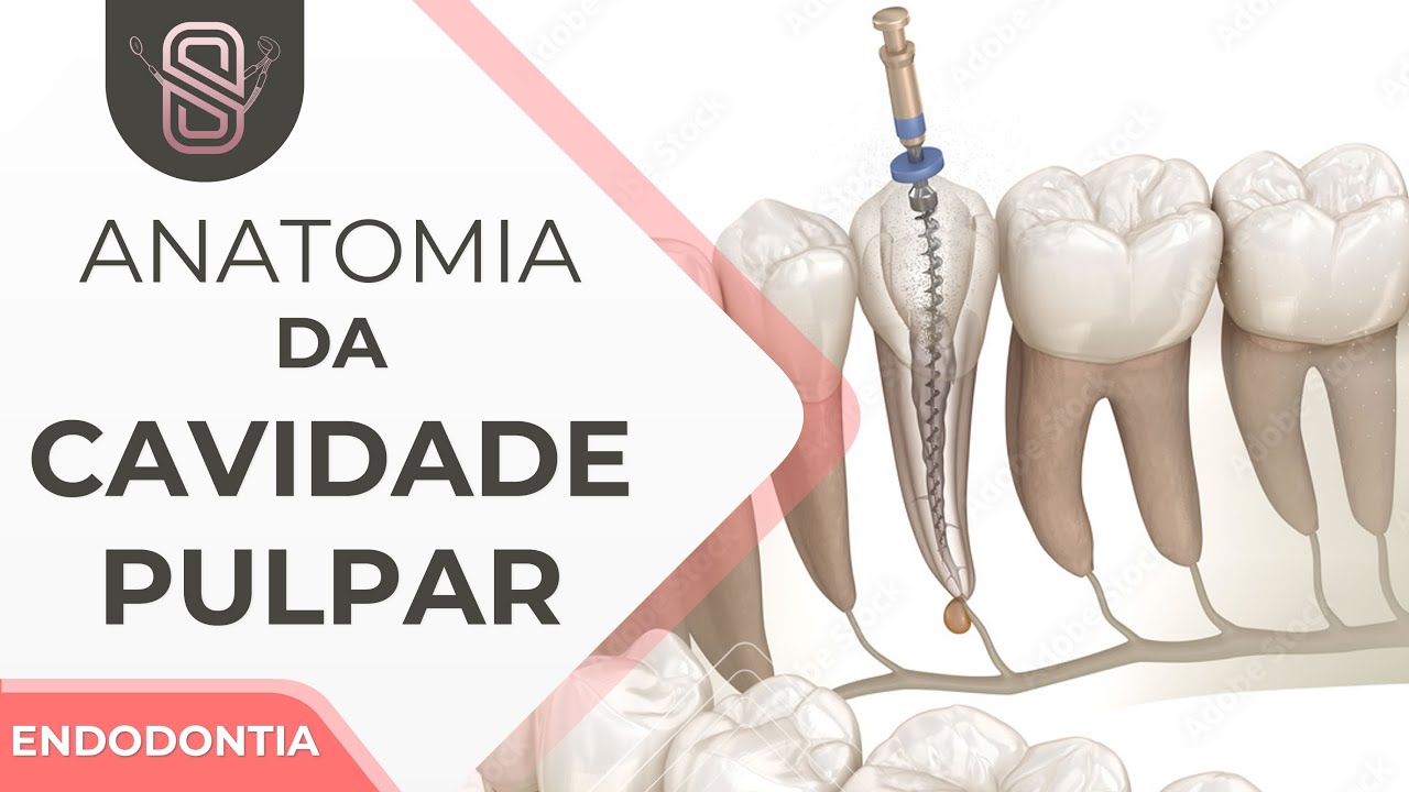 Anatomia da cavidade pulpar - Endodontia