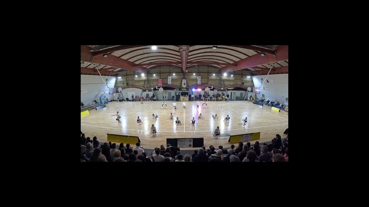 BASKET CULTURE : URBAN MOTION SCHOOL DANCE (31.01.206)