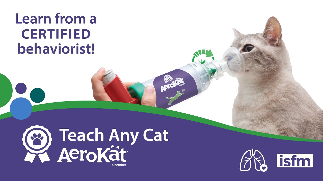 Teach Any Cat AeroKat* - Asthma Inhaler Training with a Certified Behaviorist