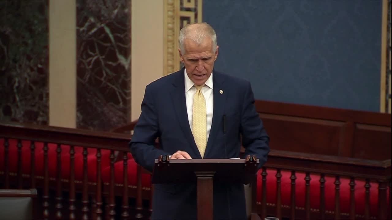 'I'm sick of stupid': GOP Sen. Thom Tillis slams Stephen Miller's comments on Greenland