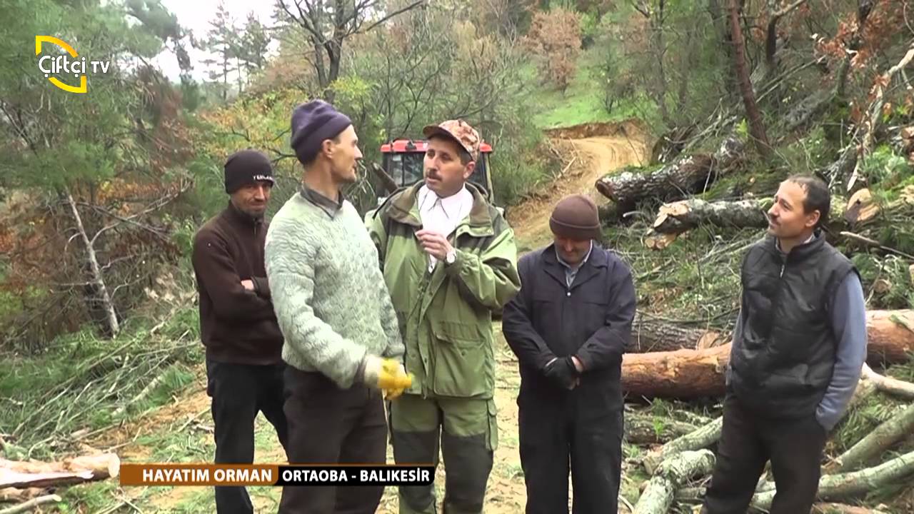 HAYATIM ORMAN/ORTAOBA-BALIKESİR/ORMANDA İŞÇİ VE İŞÇİLİK