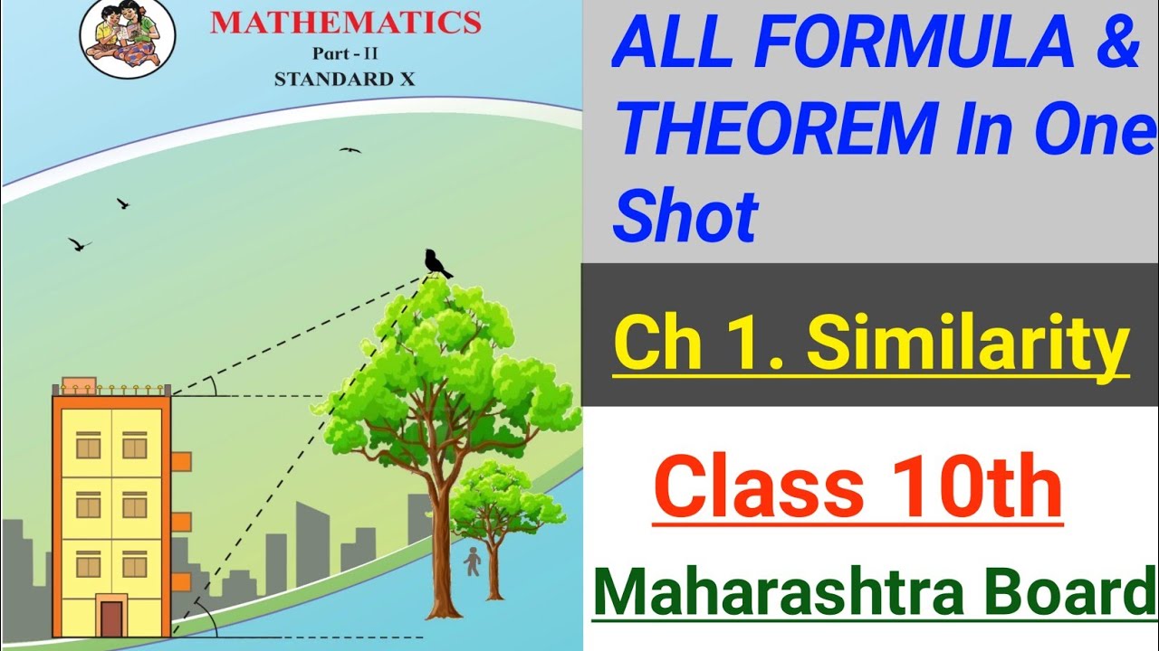 All Maths Formula & Theorem In One Shot | Geometry Ch 1.Similarity Theorem | SSC CLASS 10TH FORMULA