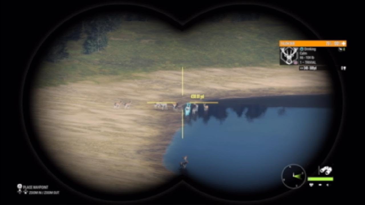 Crazy hunt