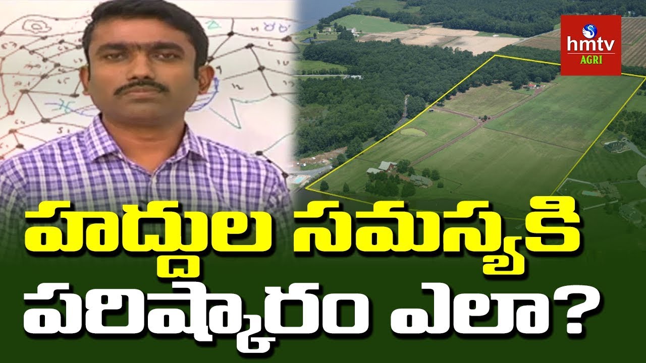 హద్దుల సమస్యకి పరిష్కారం ఎలా? | Mr.Sunil Kumar | hmtv Agri