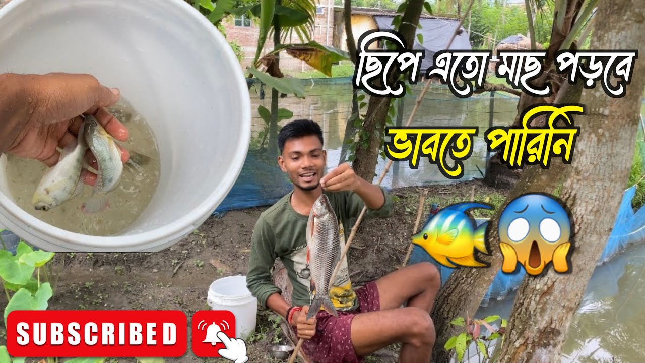 মাছ শিকার | new best hook fishing video | big fish, fish video