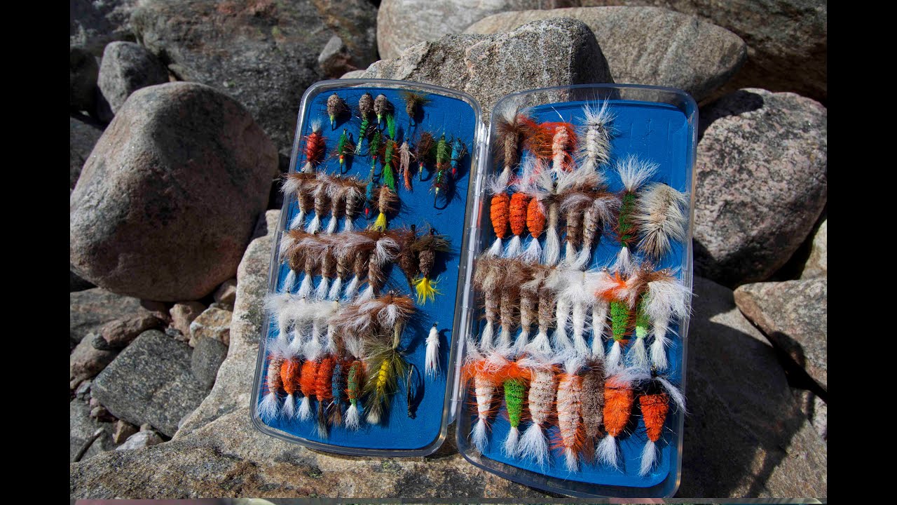 Grey River Atlantic Salmon - Newfoundland