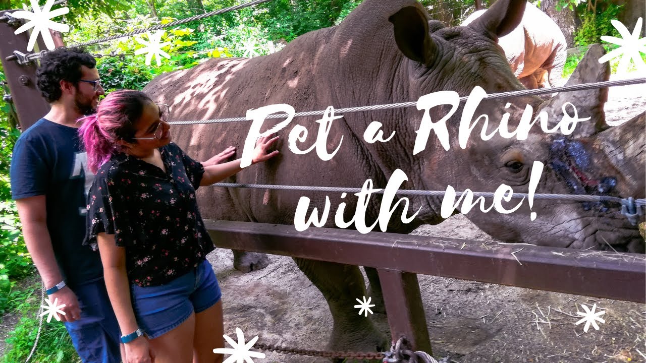 Bronx Zoo Volg: A day at the Bronx Zoo. Pet Rhinos & Feed Giraffes with me!
