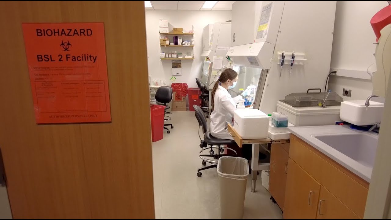 Heather Learnard | Graduate School of Biomedical Sciences
