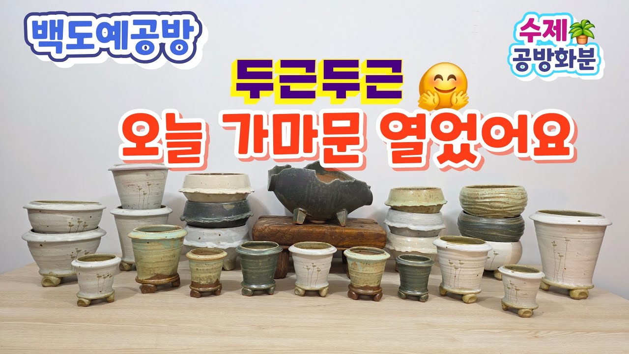 20260223(278회 영상)활짝 가마문 열었습니다🤗🪴구경하세요^^#수제화분#공방화분#고급화분#다육화분#야생화화분#아프리카식물#분갈이화분#연출화분#롱분#솟대화분 #가마솥화분#신상
