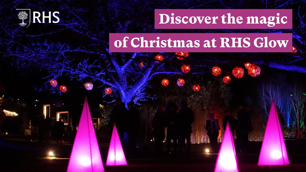 Discover the magic of Christmas at the RHS Glow illuminations | The RHS
