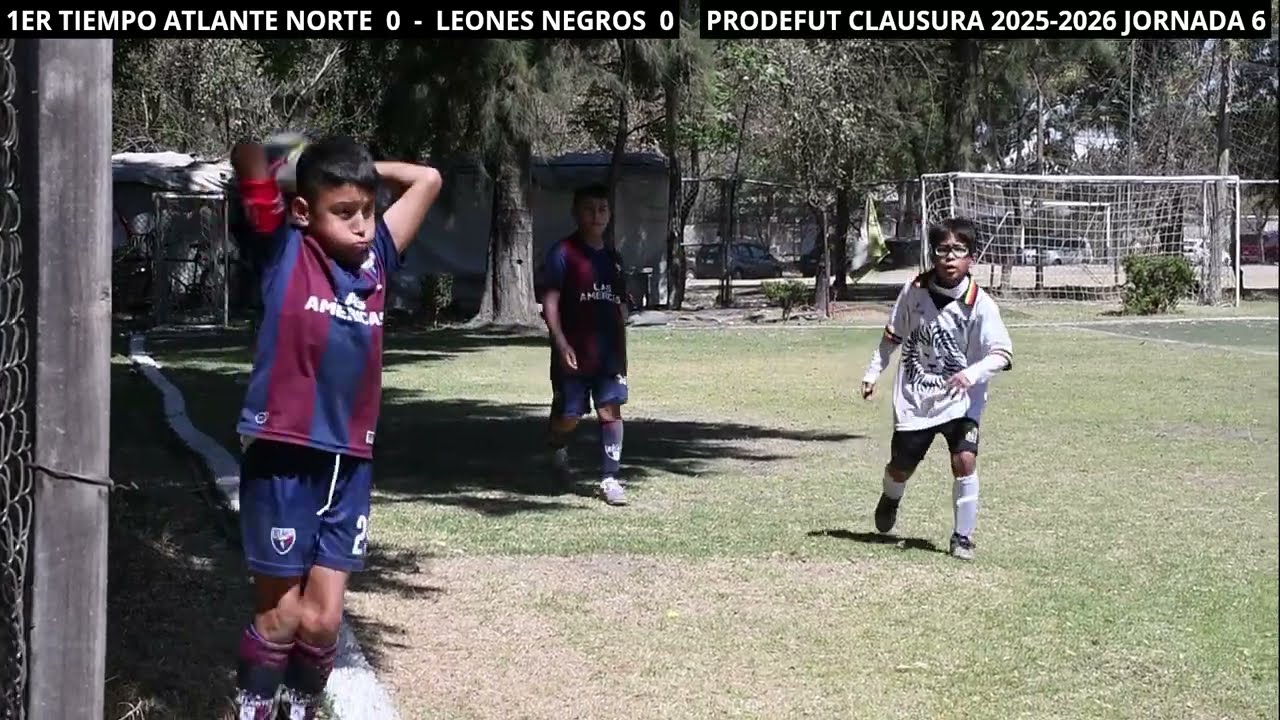 Atlante Norte 2016  vs  Leones Negros  01/03/26