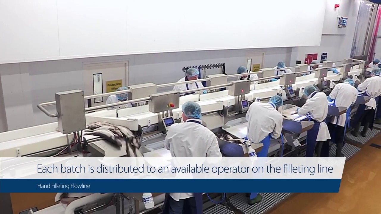 Case study: Cod Fillet Processing at Morrisons